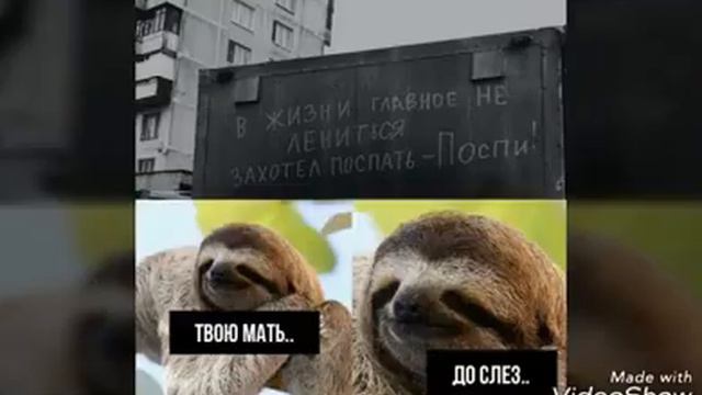 3 часть "Фото мемы"😹 смотреть онлайн