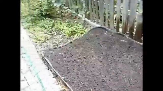 Подготовка и посадка высоких грядок, пошагово, для клубнике смотреть онлайн