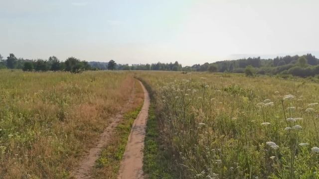 Лето природа, Бася ,Рыжий и гуси... смотреть онлайн