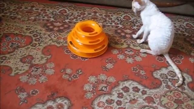 любимая игрушка смотреть онлайн