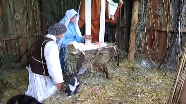 Рождественский вертеп Никополь смотреть онлайн