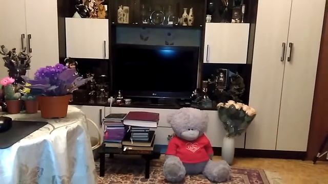 НАЧИНАЮЩИМ ВЕДЬМАМ 1 смотреть онлайн