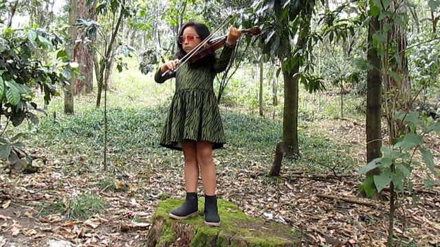 Tutu (cover violín) смотреть онлайн