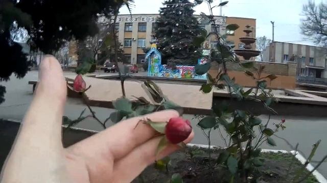 Новогодние чудеса в Геническе - 2018 New Year's wonders in Genichesk - 2018 смотреть онлайн