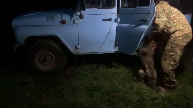 Собираемся за барсуком смотреть онлайн