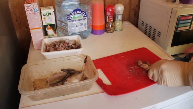 Повысить яйценоскость кур смотреть онлайн