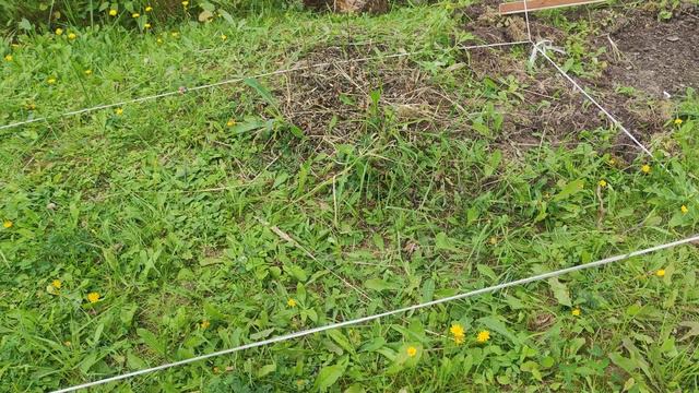 первая пошла