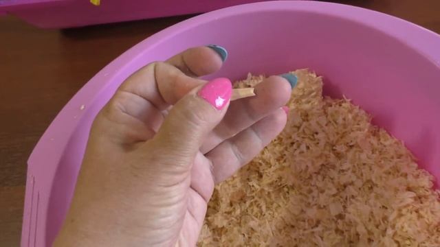 Чего НЕ должно быть в клетке у джунгарского хомяка смотреть онлайн