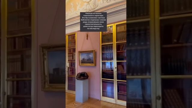 #Строганрвскийдворец #россия #петербург #shorts