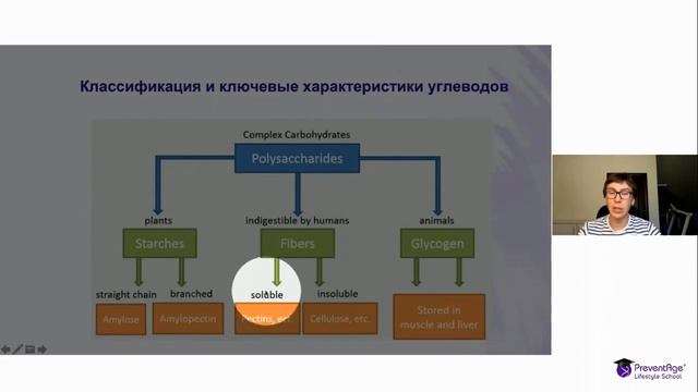 Андрей Гострый "Углеводы – основы биохимии, грамотного обращения и правильного выбора" смотреть онлайн