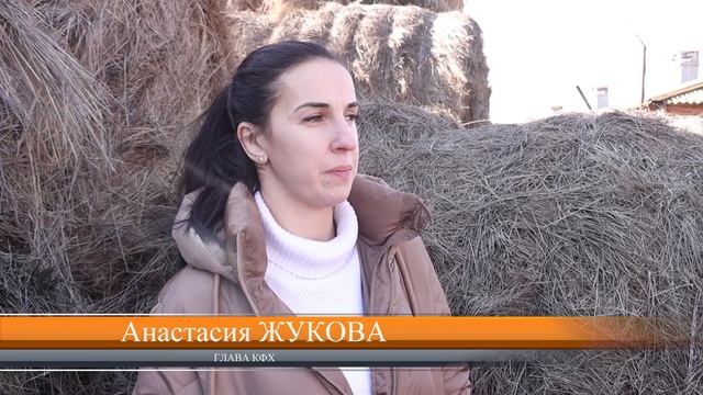 В КФХ АНАСТАСИИ ЖУКОВОЙ – ОКОЛО 60 ГОЛОВ КРУПНОГО РОГАТОГО СКОТА