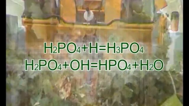 6 нутривант виноград смотреть онлайн