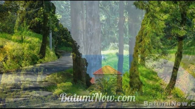 Батумский ботанический сад