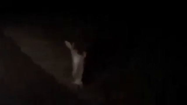 Ночью на дороге - вдруг откуда ни возьмись!!! смотреть онлайн