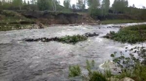 Река Синара между пос. Новый быт и д. Чайкина