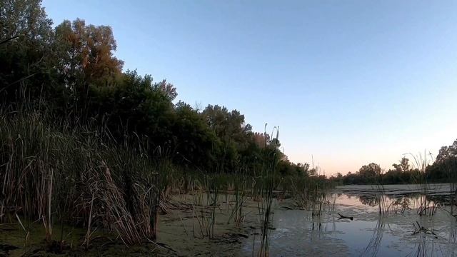 Охота на утку 2022.Вечёрка.mp4 смотреть онлайн