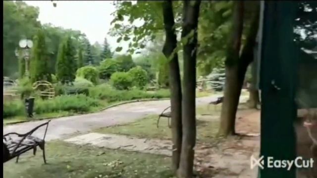 Фельдман Экопарк сегодня Харьков сегодня 21.06.2022 смотреть онлайн