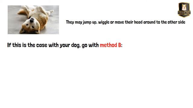 How to teach your dog to roll over: puppy and all breeds смотреть онлайн
