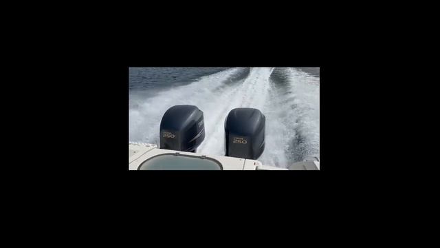 2006 Yamaha F250 LF250 19,950 смотреть онлайн