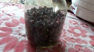 Как засушить черную смородину?Сушеная черная смородина.