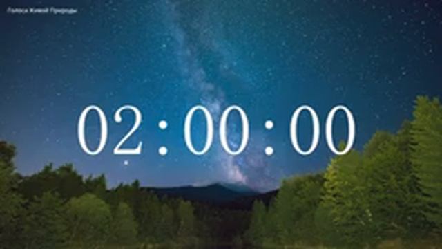 Обратный отсчет Таймер 4 часа. Звуки живой природы / Countdown. Timer 4 hours. #ГолосаЖивойПрироды смотреть онлайн