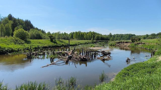 Река Уводь. ч.5. Июнь 2024 смотреть онлайн