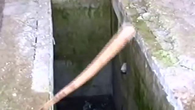 ЦЕНТР ЮН ЧУН !? 