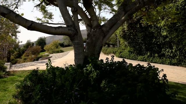 2021 Honda Accord Walkaround (US Spec) смотреть онлайн