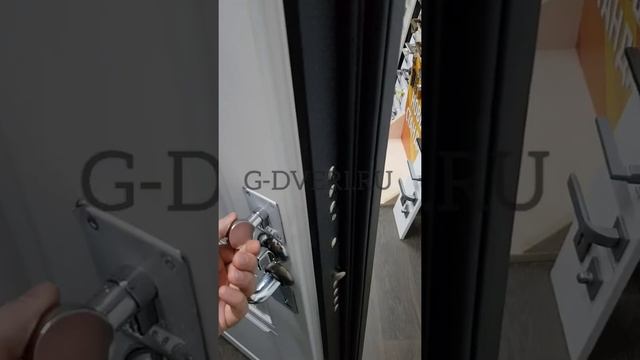 ГРАНИТ Т3 ЛЮКС (g-dveri.ru)