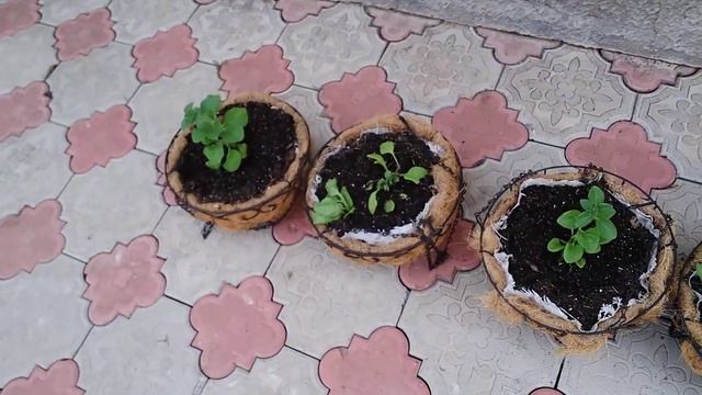 Обзор работы смотреть онлайн