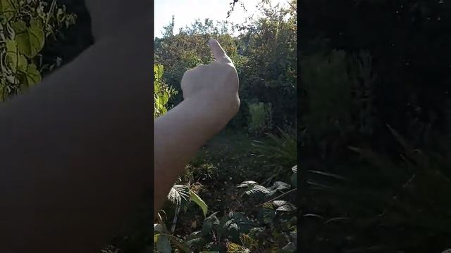 Обзор нашей дачи!?дача двух этажная смотреть онлайн