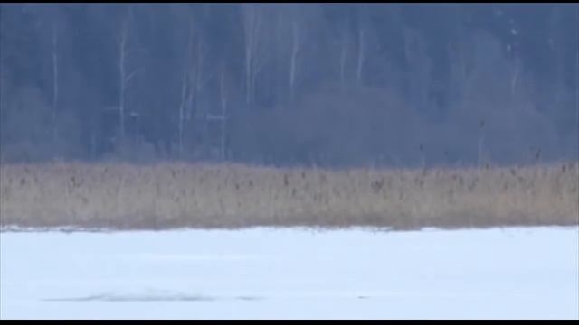 Зимняя рыбалка Ловля окуня на мормышку большего размера смотреть онлайн