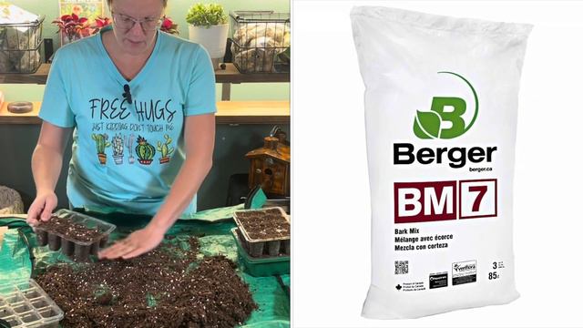 How To Start Begonias From Seed 🌺 || Starting Begonia Seeds смотреть онлайн