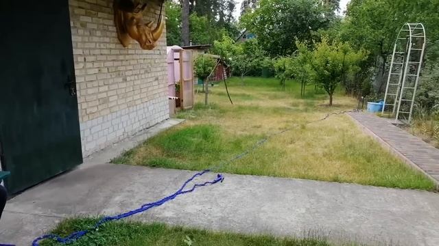 ДРУЖЕСКАЯ РЕКЛАМА // ЧУДО В ТЕПЛИЦЕ // ЛЕТНИЙ ОБЕД смотреть онлайн