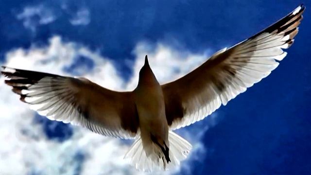 Я мог бы. смотреть онлайн