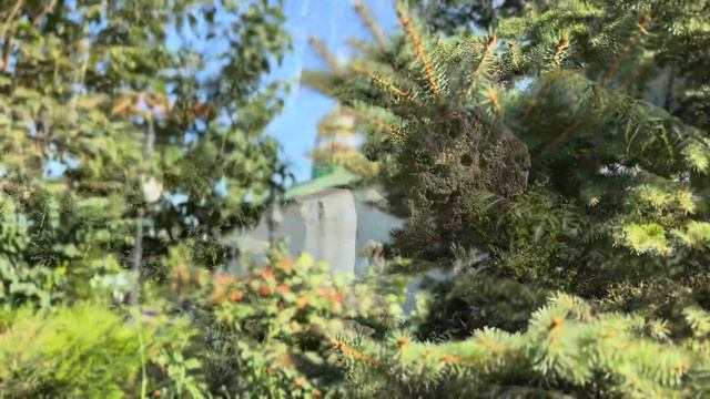 Храм в летнее время смотреть онлайн