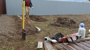 Сажаем малину весной