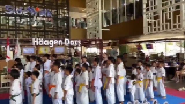 【Leo Leo Land】 Karate Series ? Part 4 смотреть онлайн