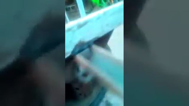 Прицеп на мотоблок своими руками смотреть онлайн