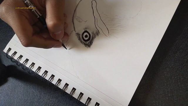 Angry Eagle ? || Sketches || A4 Sheet || Commission Artwork ?✈️ смотреть онлайн