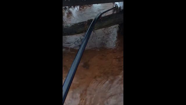 Не из той воды руки растут… смотреть онлайн