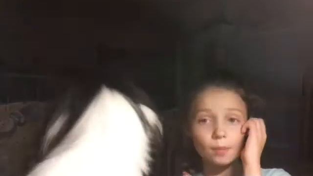 ПОРОДА СОБАКИ ЯПОНСКИЙ ХИН смотреть онлайн
