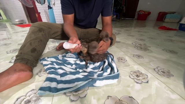 React babies Emma Ella and Jack after clean their body смотреть онлайн