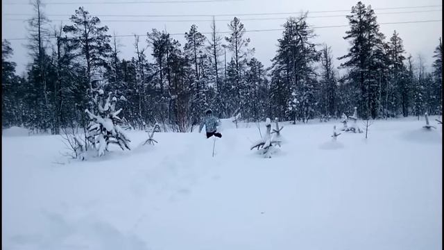 Зимняя охота на куропатку))) смотреть онлайн
