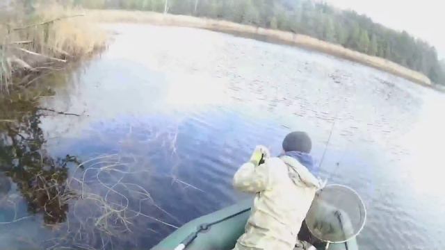 Ловля щуки на кружки 5.12.2015г. смотреть онлайн