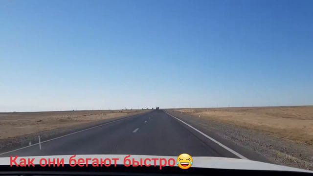 Атырау - Алматы #атырау #алматы #дорога #работа