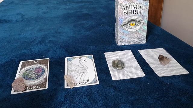 Animal Spirit Oracle Reading | Week of Jan 28 смотреть онлайн