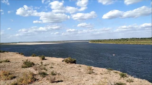 Ветлянка 2020 или карантин часть 2 смотреть онлайн