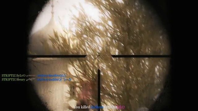 SyLvO - The Phoenix - Call of Duty 2 Professional Fragmovie смотреть онлайн