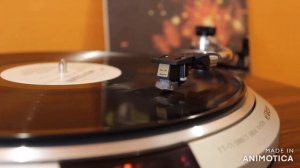 Vinyl. FLAK. Secret Service. Ансамбль ,,СИКРЕТ СЕРВИС''. Когда наступает ночь. 1 сторона.
